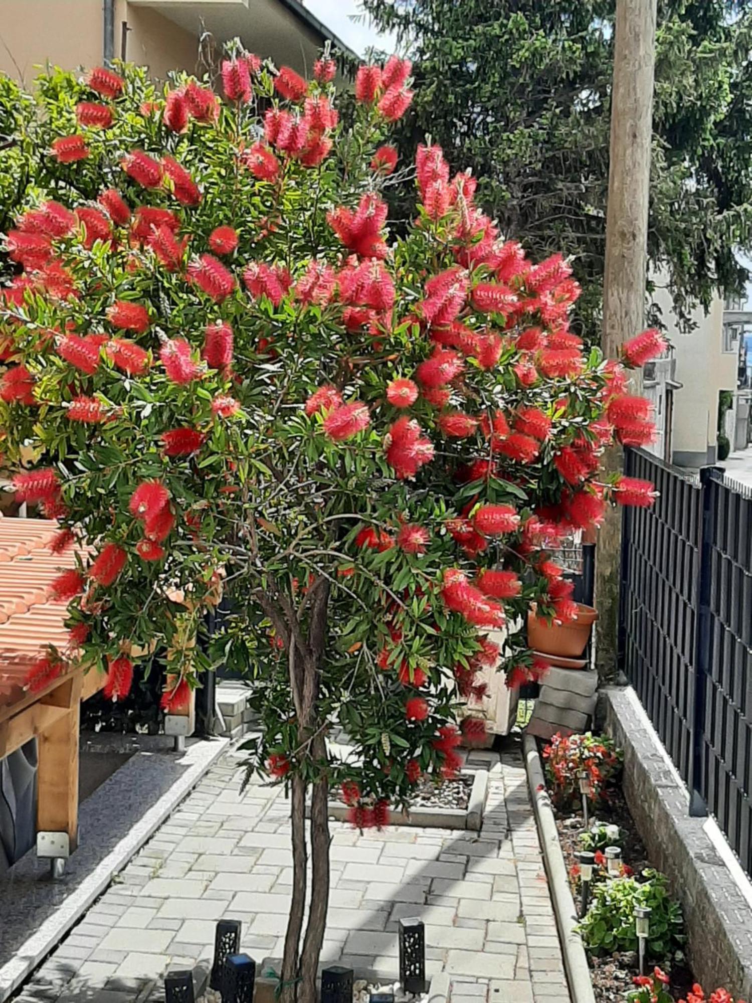 Apartment Radalj Kaštela エクステリア 写真